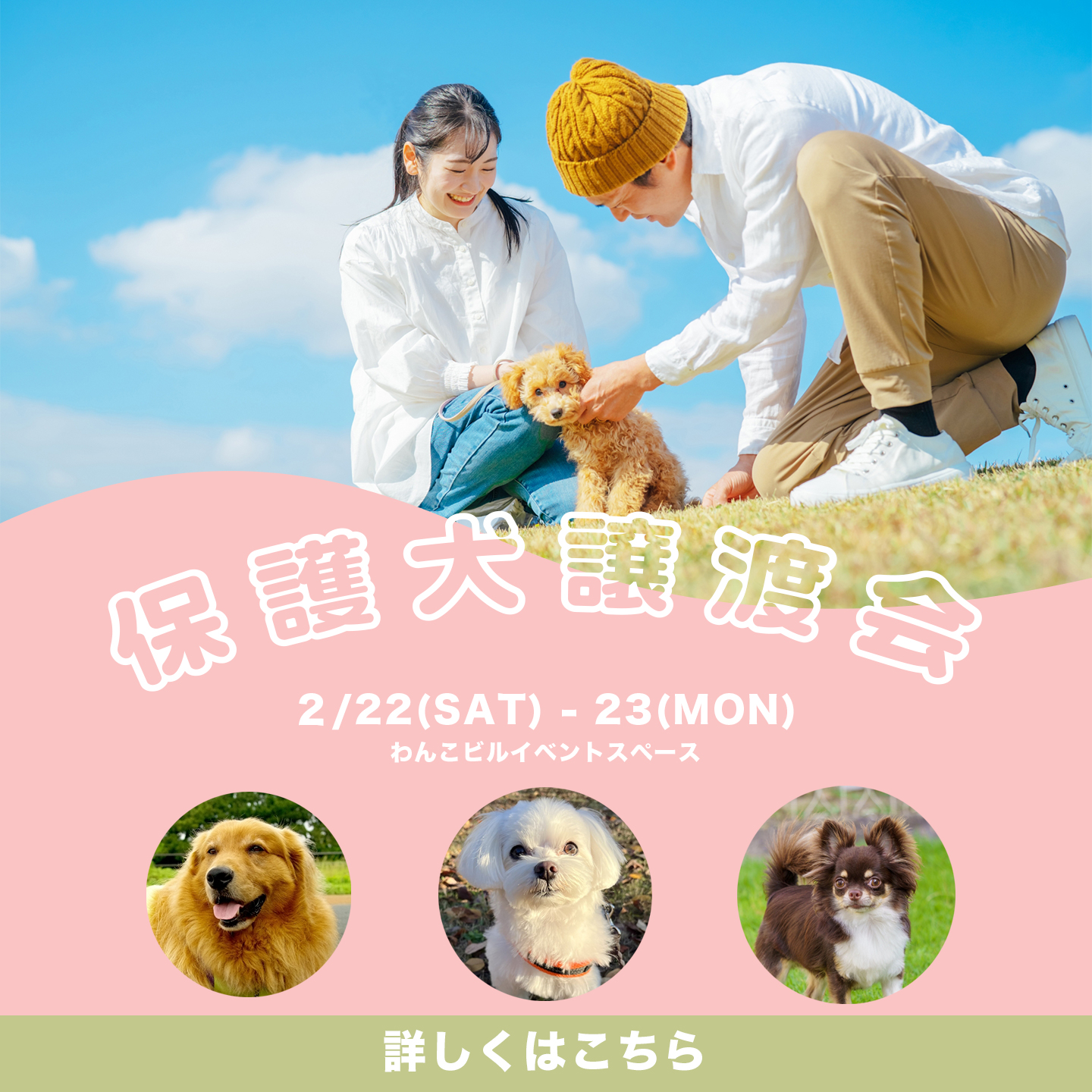 保護犬バナー